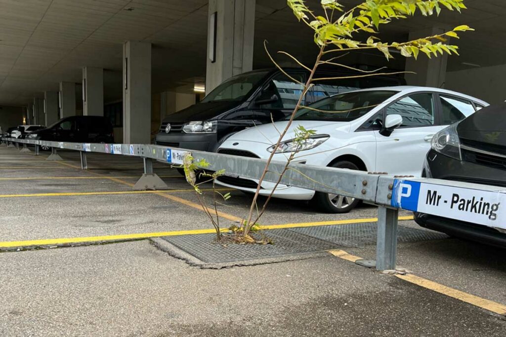 Mr-Parking | Shuttle-Service & Valet-Service am Flughafen Zürich